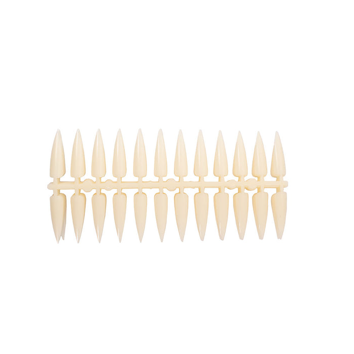 Muestrario Grande Stiletto Hueso